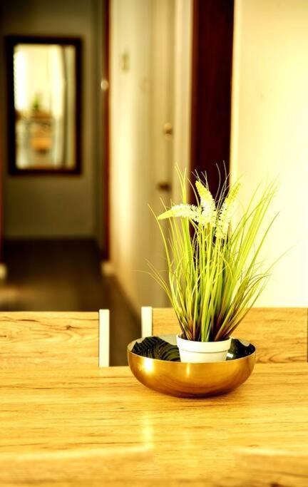 שמילה אירוח 2 Villa Arad Dış mekan fotoğraf
